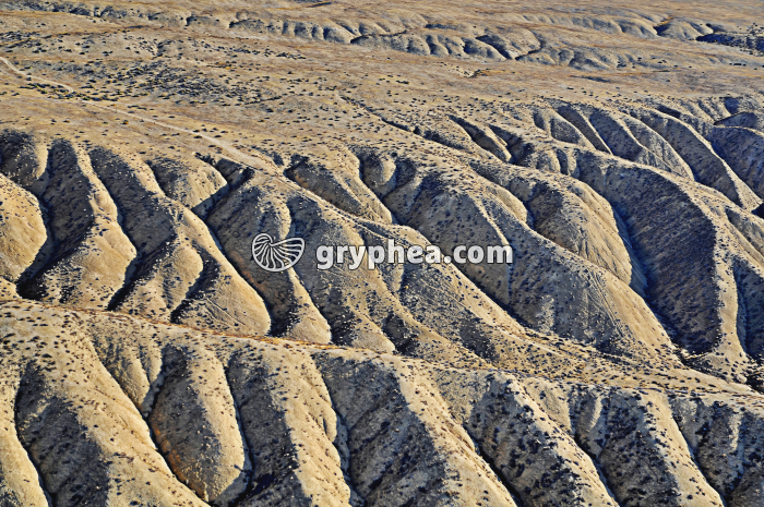 Faille San Andreas_1 - gryphea.com